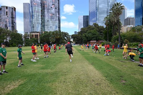 Dragons Sport Banner Photo