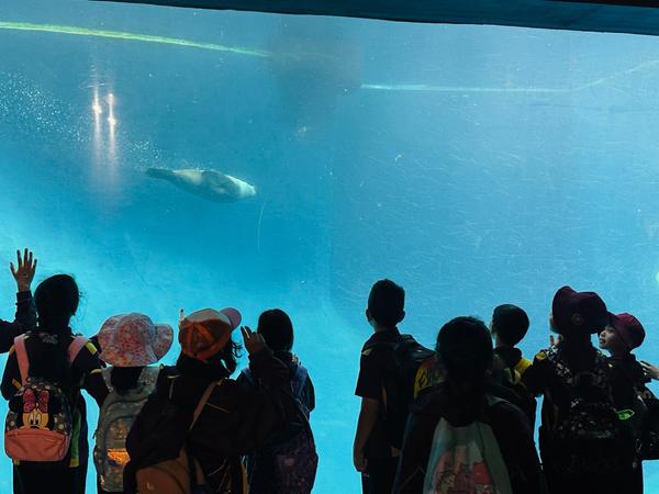 Y3: Melbourne Zoo Excursion Banner Photo