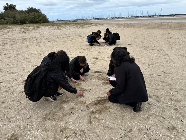 9B Environmental Fieldwork Excursion Banner Photo