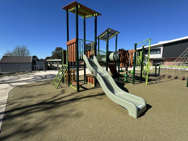 Year 1 Community  Banner Photo