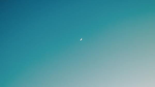 THE VILLAGE Banner Photo