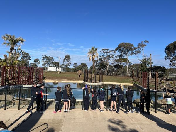 Welcome to Term 3 Banner Photo