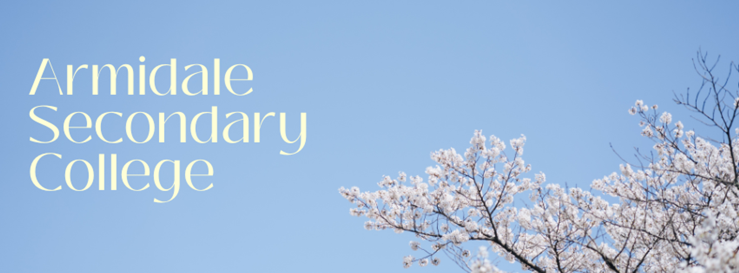Banner Photo