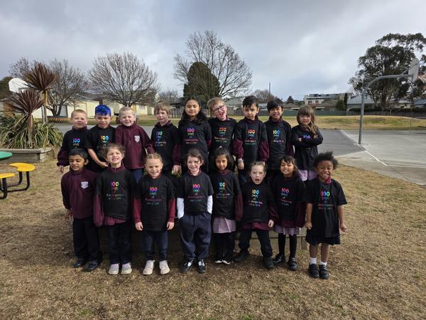 100 Days of Kindergarten  Banner Photo