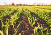 Agriculture News Banner Photo