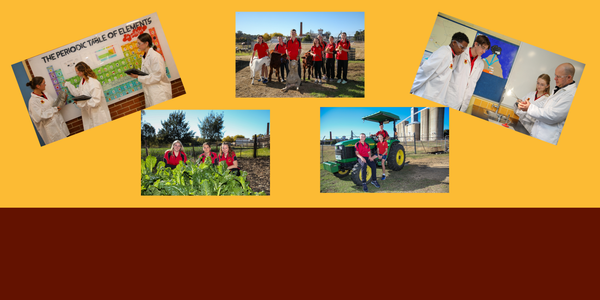SCIENCE / AGRICULTURE NEWS Banner Photo