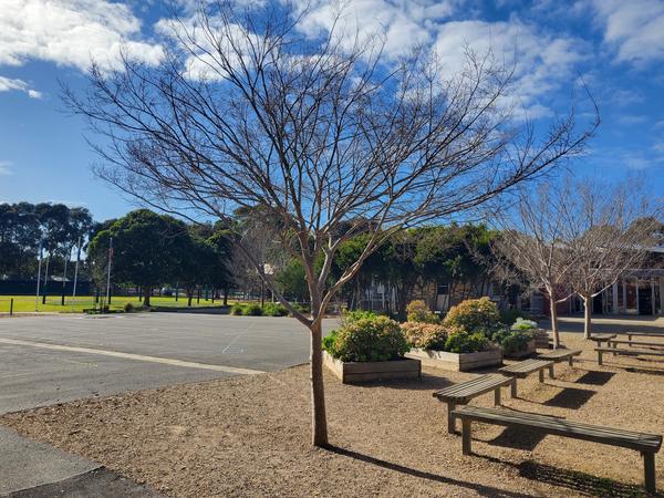 Fundraising and PCA Events  Banner Photo