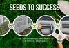 Seeds to Success Banner Photo