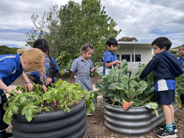 Wellbeing News Banner Photo