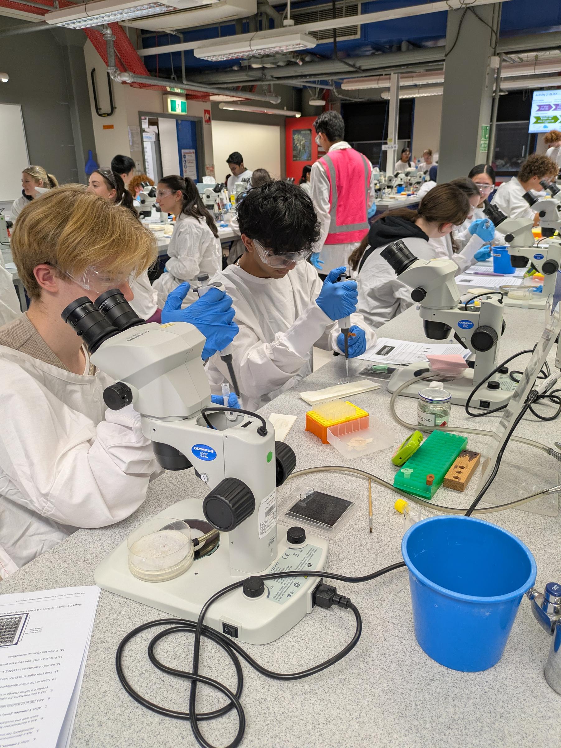 VCE Biology Banner Photo