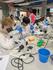 VCE Biology Banner Photo