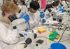 VCE Biology Banner Photo