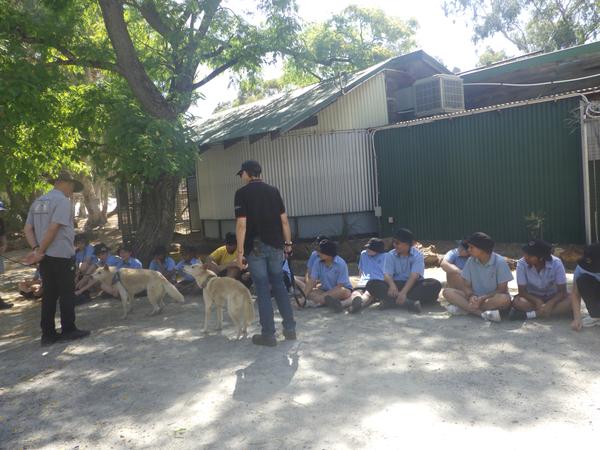 Kaarakin Excursion Banner Photo