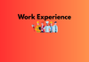 Work Experience Banner Photo
