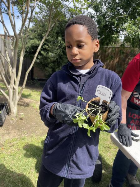 Group 13  Banner Photo