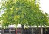 Year 7 Transition Banner Photo