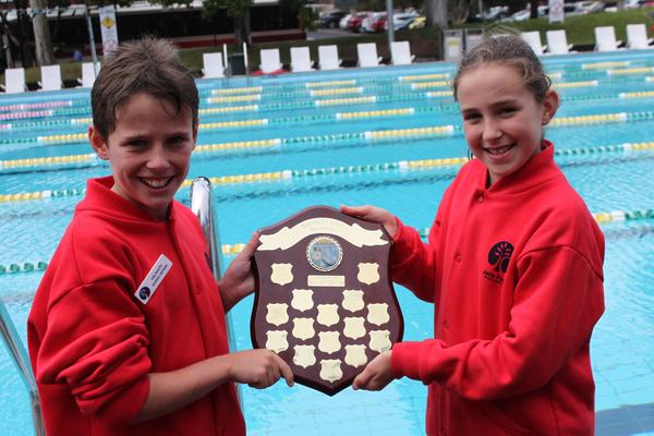 Sport Report Banner Photo