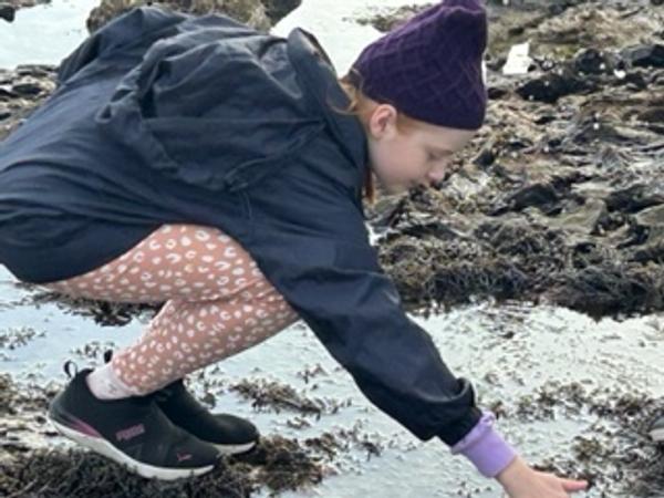 Welcome to Term 3 Banner Photo