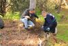 From the Enviro Team Banner Photo