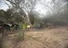 Year One ExcursionTea Tree Gully Heritage Museum Banner Photo