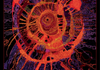 NAIDOC Week 2026 Banner Photo