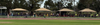 Community News Banner Photo