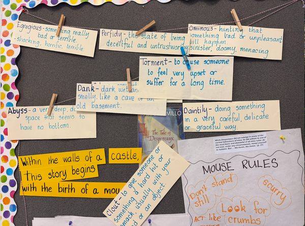 Year Four Banner Photo