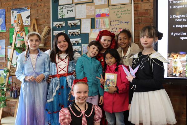 Primary News Banner Photo