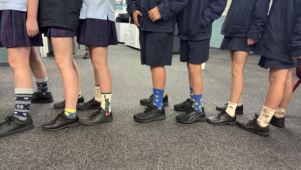 College News Banner Photo