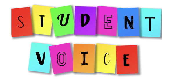 Student Voice at Mackellar Primary School Banner Photo