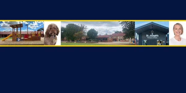 Acting Principal's Message Banner Photo