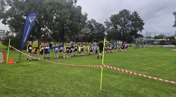 Knox Division Cross Country Banner Photo