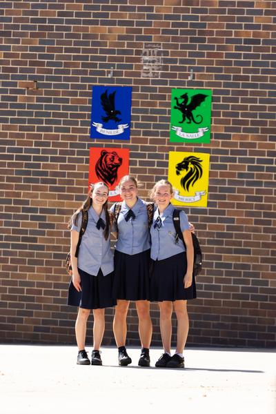 House Reports Banner Photo