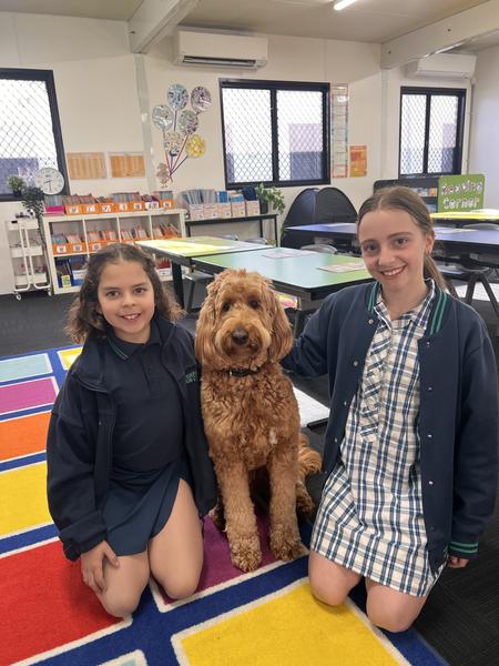 Farewell to our beautiful Luna Banner Photo