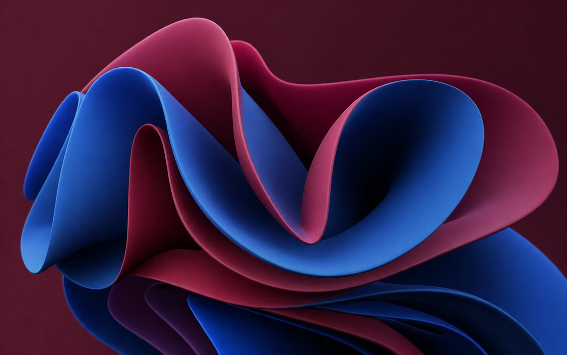 Banner Photo