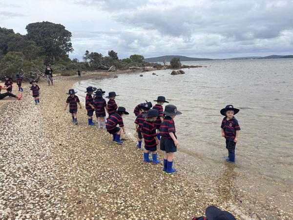 Primary School Banner Photo