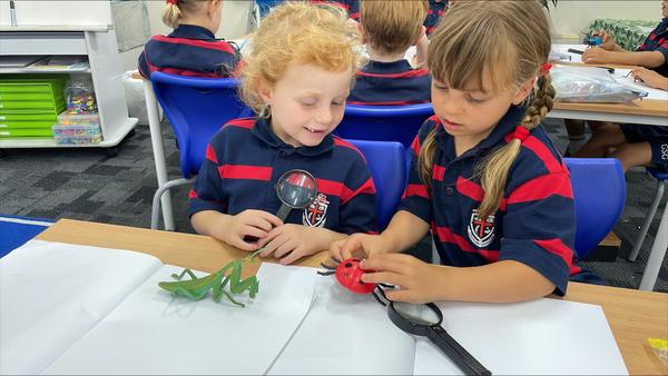 Primary School Banner Photo