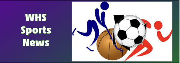 Zone Touch Champs: Banner Photo