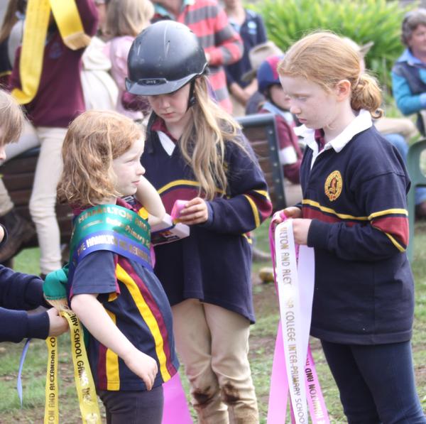 Equestrian Banner Photo