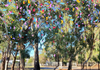 Easing into adolescence: resources for families Banner Photo