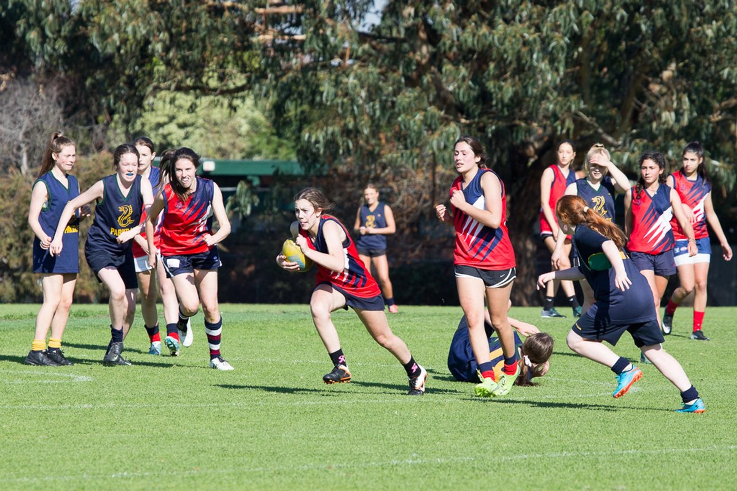 Banner Photo