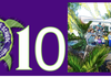Page 0 Banner Photo