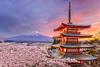 Japanese Banner Photo