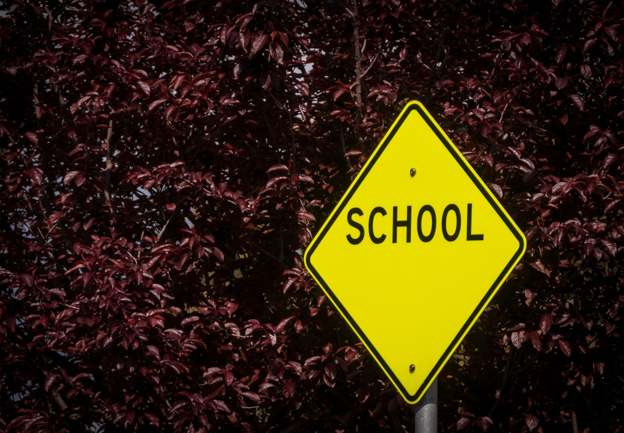 School Crossing Banner Photo
