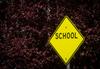 School Crossing Banner Photo