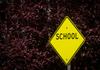 School Crossing Banner Photo