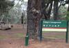 ODE Brisbane Ranges Camp Banner Photo