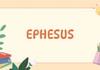 Spotlight on Learning Banner Photo