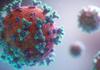Covid-19 Advice and Vaccinations Banner Photo