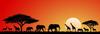 Africa Expedition 2027 Banner Photo